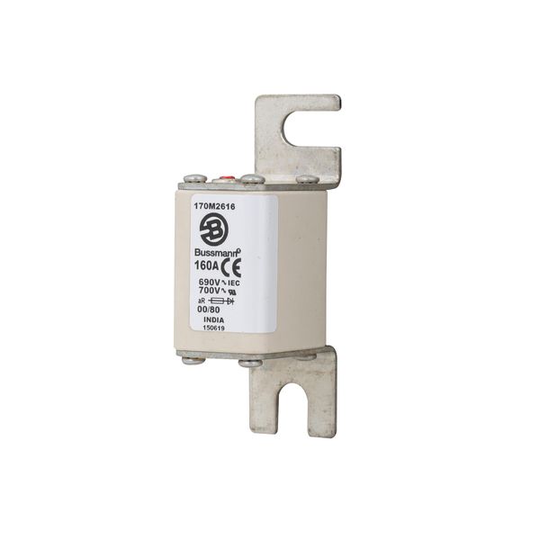 Fuse-link, high speed, 160 A, AC 690 V, DIN 00, 30 x 51 x 100 mm, aR, DIN, IEC, single indicator image 11