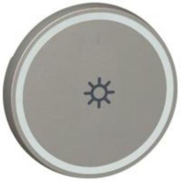 Round key cover Arteor BUS/SCS - light symbol - 2 modules - magnesium image 1