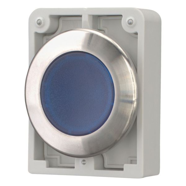 Illuminated pushbutton actuator, RMQ-Titan, flat, maintained, Blue, blank, Front ring stainless steel image 6