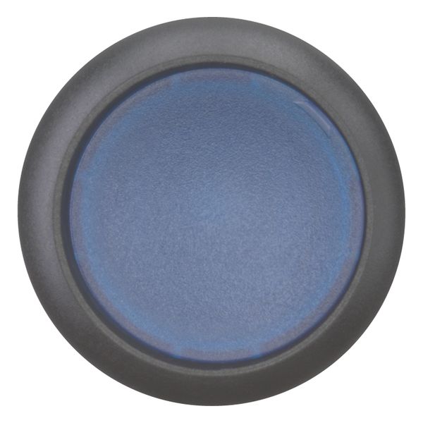 Illuminated pushbutton actuator, RMQ-Titan, Flush, maintained, Blue, Blank, Bezel: black image 11