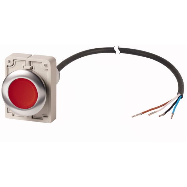 Illuminated pushbutton actuator, Flat, momentary, 1 NC, Cable (black) with non-terminated end, 4 pole, 1 m, LED Red, red, Blank, 24 V AC/DC, Metal bez image 1