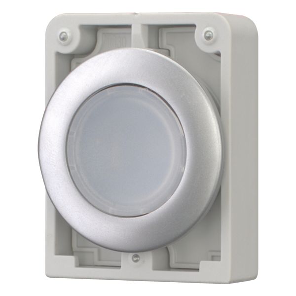 Illuminated pushbutton actuator, RMQ-Titan, Flat, momentary, White, Blank, Metal bezel image 2