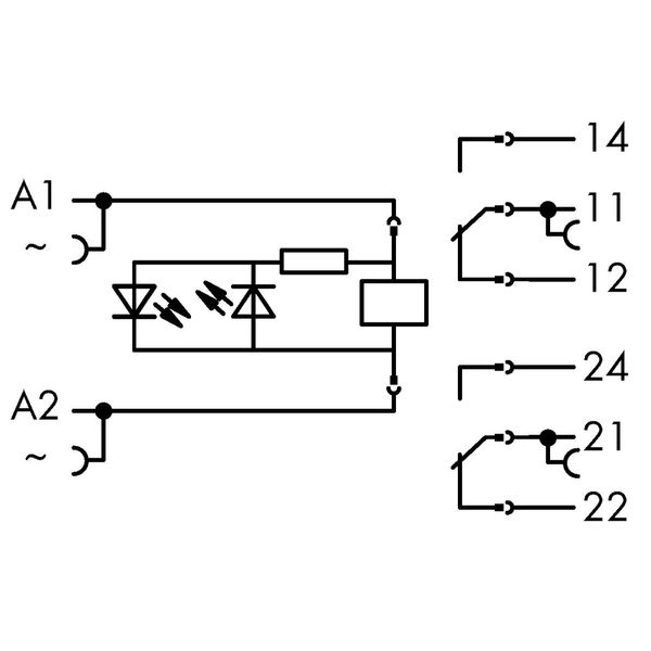 Relay module Nominal input voltage: 24 VAC 2 changeover contacts image 6