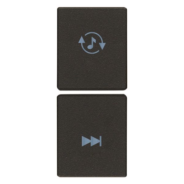 2 half buttons 1M source/track black image 1