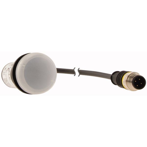 Indicator light, Flat, Cable (black) with M12A plug, 4 pole, 0.2 m, Lens white, LED white, 24 V AC/DC image 4