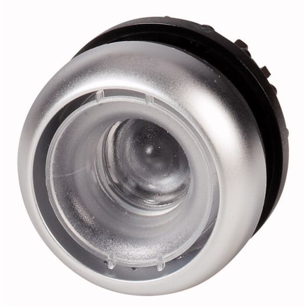 Pushbutton, RMQ-Titan, momentary, Without button plate, Bezel: titanium image 1