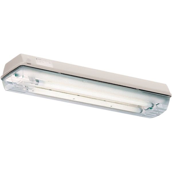 Ex-Linear light fitting with emergency light function for zone 2/21, Variant: nLLK 08018/18 V-CG-S 2/6-2K image 5