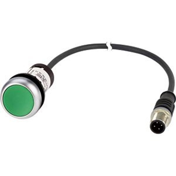 Pushbutton, Flat, momentary, 1 N/O, Cable (black) with M12A plug, 4 pole, 0.2 m, green, Blank, Bezel: titanium image 5