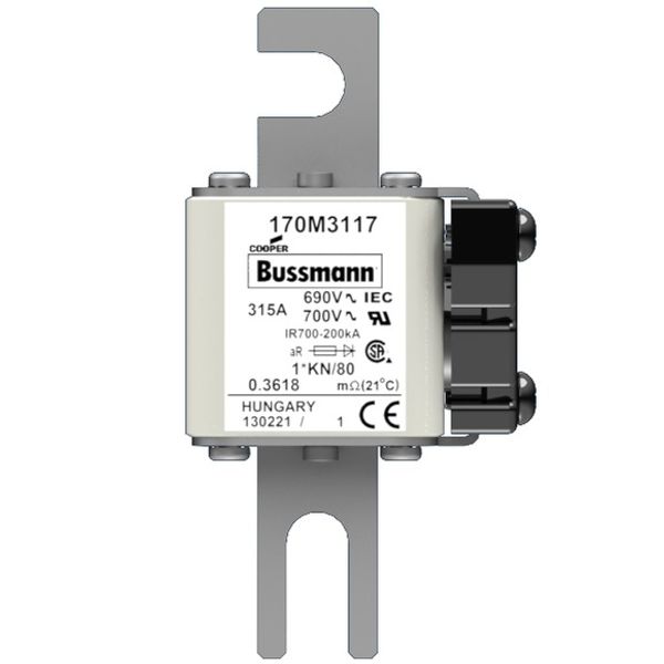 Fuse-link, high speed, 315 A, AC 690 V, compact size 1, 43 x 60 x 110 mm, aR, DIN, IEC, single indicator image 1