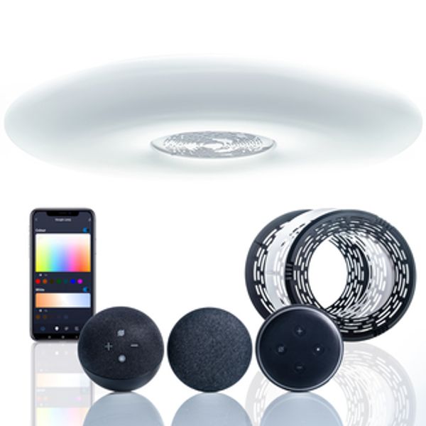 WiFI Ceiling Light with Google Nest Mini and Amazon Echo Dot Bracket image 1