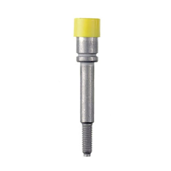 Socket (terminal), Plug-in depth: 8 mm, Depth: 37.5 mm image 3