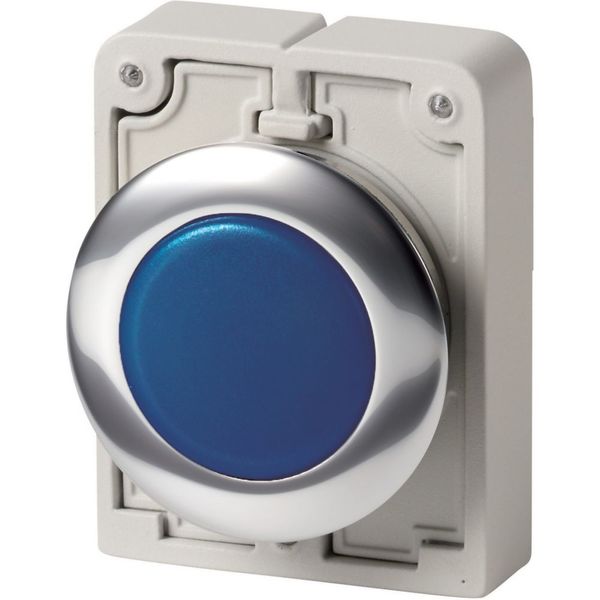 Indicator light, RMQ-Titan, Flat, Blue, Metal bezel image 8
