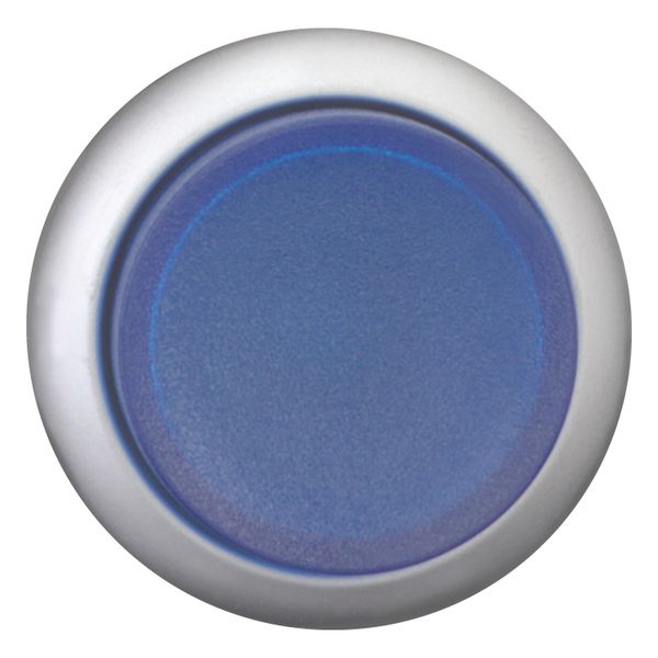 Illuminated pushbutton actuator, RMQ-Titan, Extended, momentary, Blue, Blank, Bezel: titanium image 7