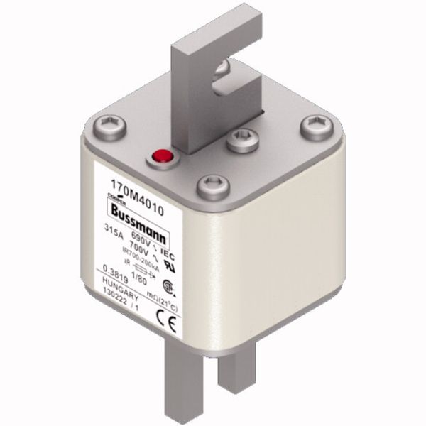 Fuse-link, high speed, 315 A, AC 690 V, DIN 1, 53 x 53 x 108 mm, aR, DIN, IEC, single indicator image 2