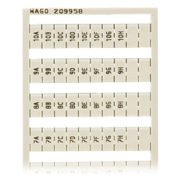 WSB marking card as card MARKED white image 3