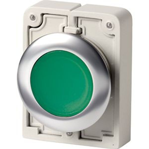 Illuminated pushbutton actuator, RMQ-Titan, flat, momentary, green, blank, Front ring stainless steel image 2