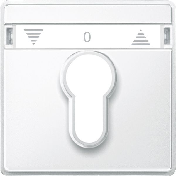 Cen.pl. f. DIN cylinder key switch insrts f. roller shut.s, polar white, Aq.des. image 1