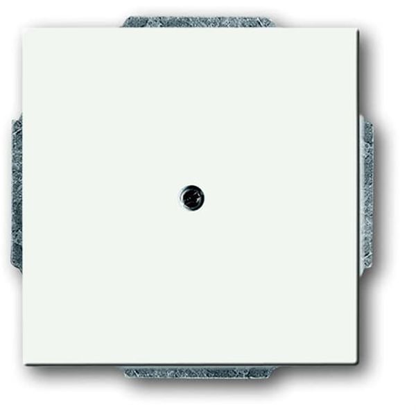 1742-884 CoverPlates (partly incl. Insert) future®, Busch-axcent®, carat® studio white matt image 1