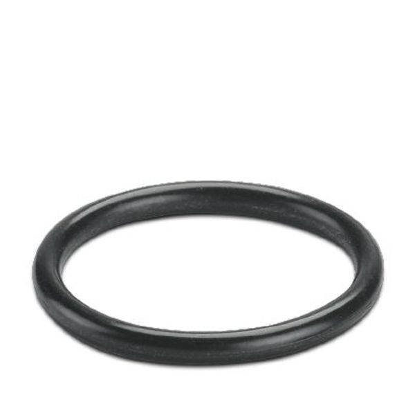 WP-OR PG16 - Sealing ring image 2