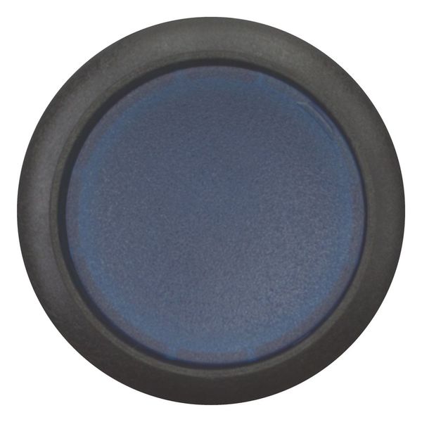 Illuminated pushbutton actuator, Flat, momentary, 1 N/O, Screw connection, LED Blue, Blue, Blank, 230 V AC, Bezel: black image 3