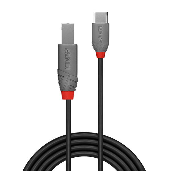 0.5m USB 2.0 Type C to B Cable, Anthra Line USB Type C Male to B Male image 2