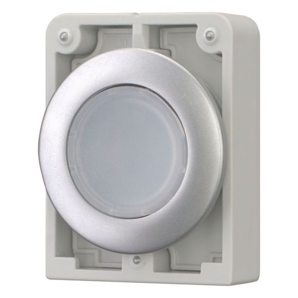 Illuminated pushbutton actuator, RMQ-Titan, Flat, maintained, White, Blank, Metal bezel image 5