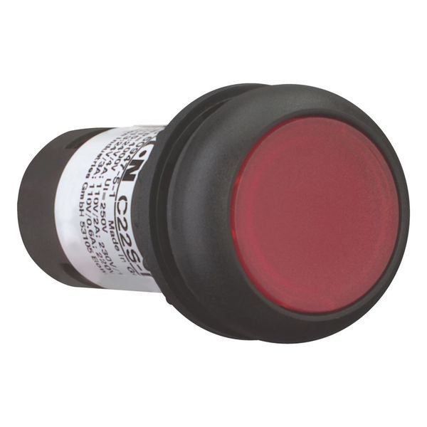 Illuminated pushbutton actuator, Flat, maintained, 1 NC, Screw connection, LED Red, red, Blank, 230 V AC, Bezel: black image 12