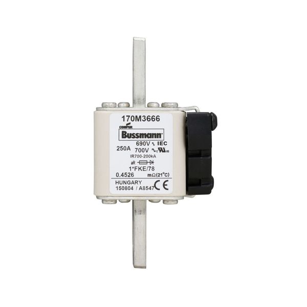 Fuse-link, high speed, 250 A, AC 690 V, compact size 1, 45 x 59 x 110 mm, aR, IEC, UL image 6