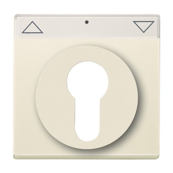 1800-82 CoverPlates (partly incl. Insert) future®, solo®; carat®; Busch-dynasty® ivory white image 5