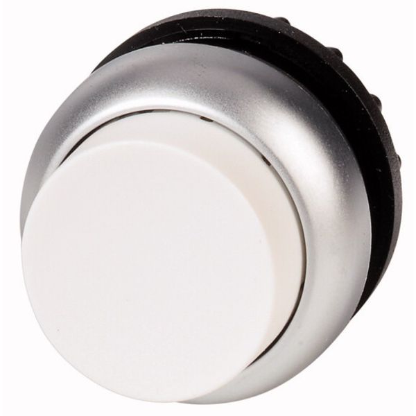 Pushbutton, RMQ-Titan, Extended, momentary, White, Blank, Bezel: titanium image 1