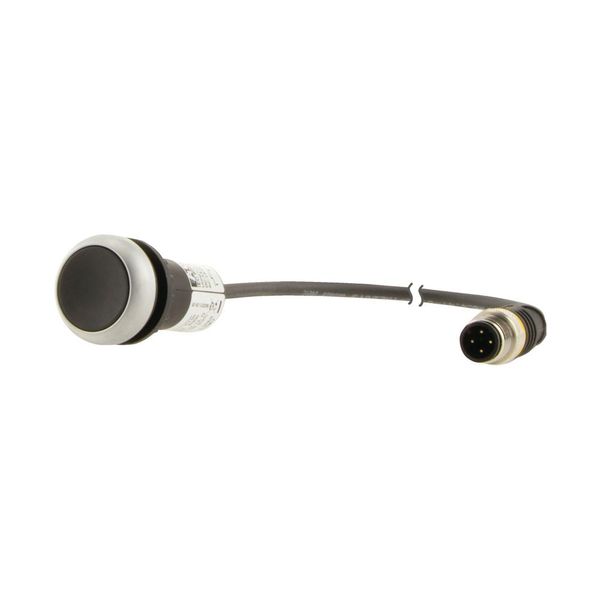 Pushbutton, Flat, momentary, 1 NC, Cable (black) with M12A plug, 4 pole, 0.2 m, black, Blank, Bezel: titanium image 9