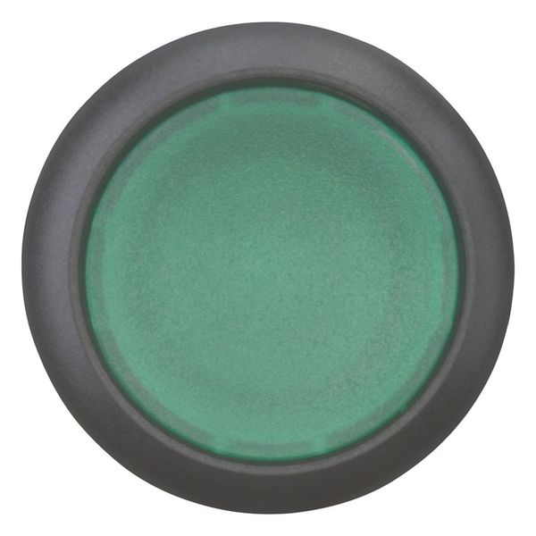 Illuminated pushbutton actuator, RMQ-Titan, Flush, maintained, green, Blank, Bezel: black image 9