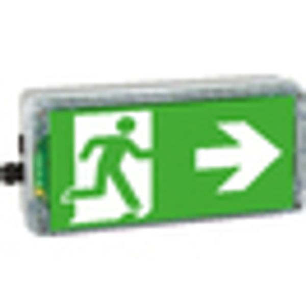 EX-protected emerg.luminaire EXIT 2 N zone2/22 LED3h 230V AC image 2