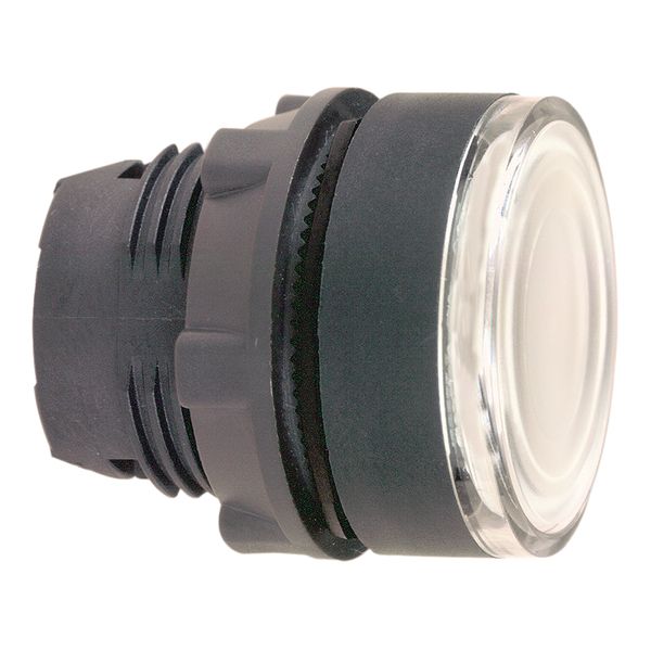 Harmony XB5, Illuminated push button head, plastic, flush, white, Ø22, spring return, plain lens integral LED image 1