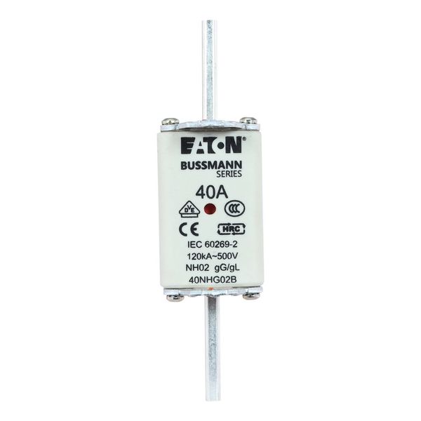 Fuse-link, LV, 40 A, AC 500 V, NH02, gL/gG, IEC, dual indicator, live gripping lugs image 11