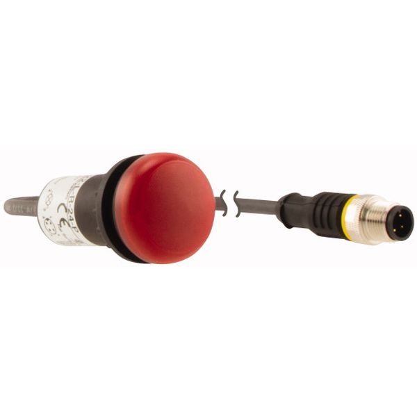 Indicator light, Flat, Cable (black) with M12A plug, 4 pole, 1 m, Lens Red, LED Red, 24 V AC/DC image 4