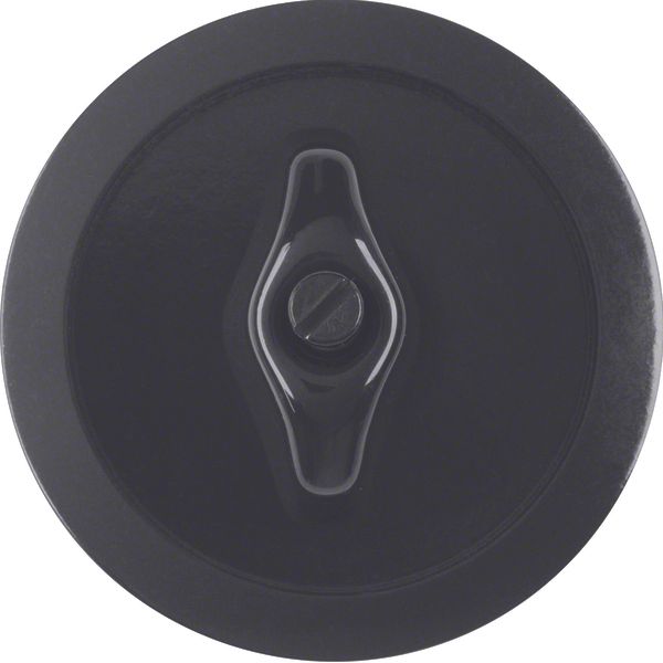 Centre plate toggle, 1930, black glossy image 1