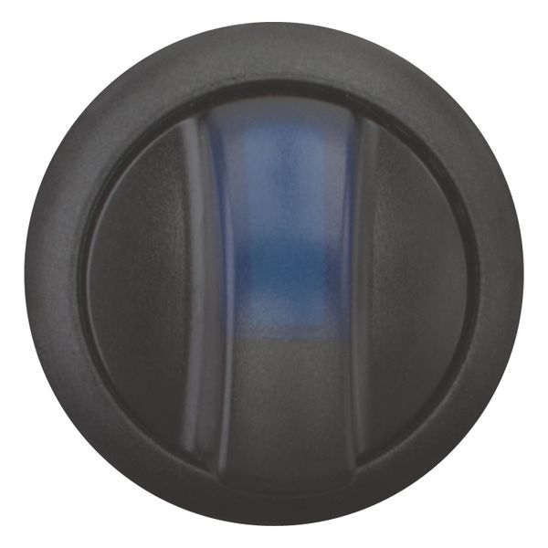 Illuminated selector switch actuator, RMQ-Titan, With thumb-grip, momentary, 2 positions, Blue, Bezel: black image 2