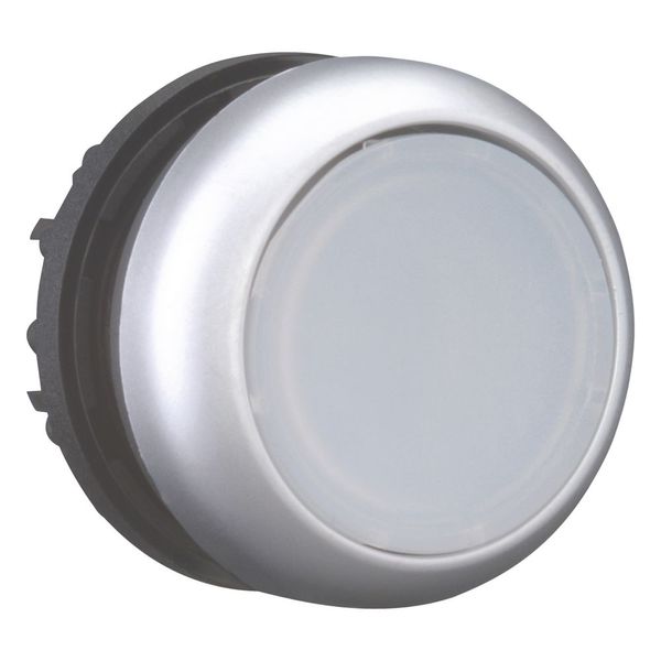 Illuminated pushbutton actuator, RMQ-Titan, Flush, momentary, White, Blank, Bezel: titanium image 11