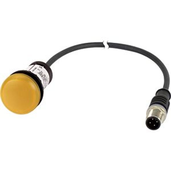 Indicator light, Flat, Cable (black) with M12A plug, 4 pole, 0.2 m, Lens yellow, LED white, 24 V AC/DC image 5