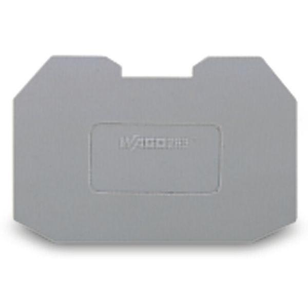 Step-down cover plate 1 mm thick gray image 2