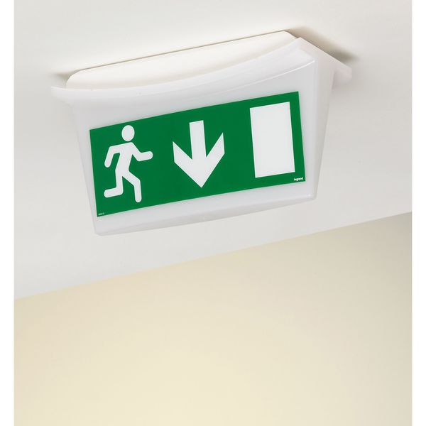 Label - for emergency lighting luminaires - exit door below - 310x112 mm image 2
