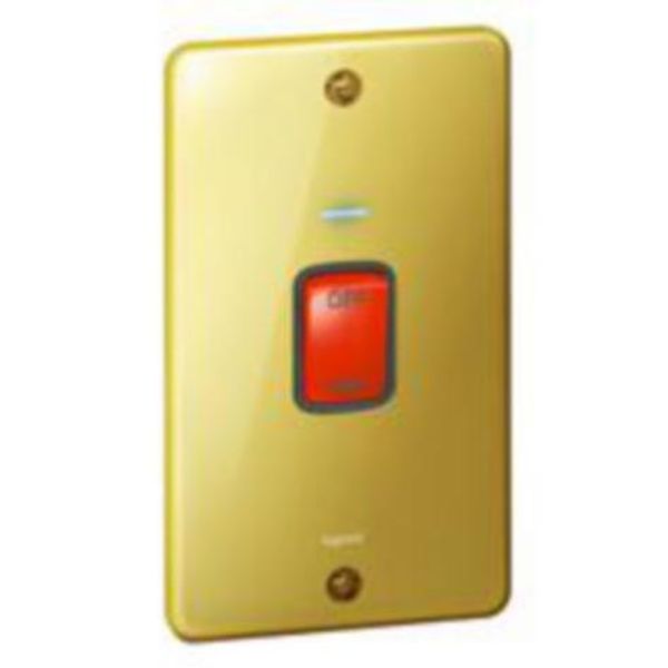 Synergy™ Authentic - double pole switch+blue led power indicator-2G vertical plate-45A-Glossy gold image 1