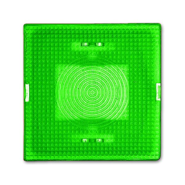 2664-13-101 CoverPlates (partly incl. Insert) carat® green image 1