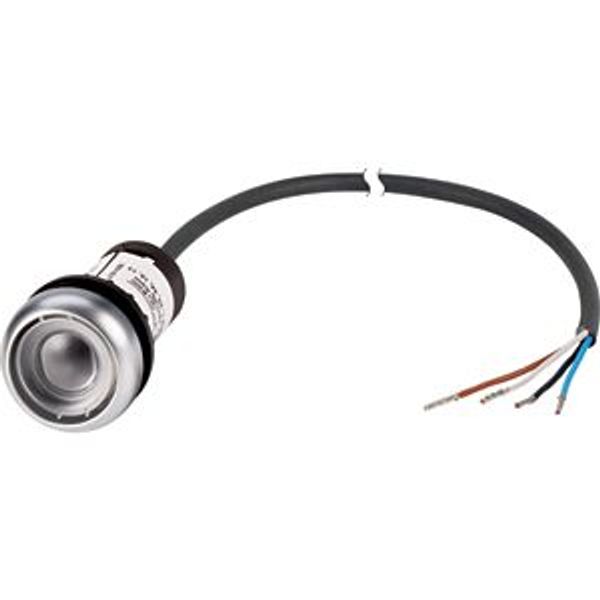 Pushbutton, Flat, momentary, 1 N/O, Cable (black) with non-terminated end, 4 pole, 3.5 m, Without button plate, Bezel: titanium image 5