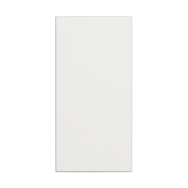 CLASSIA - BLANK PLATE WHITE image 1
