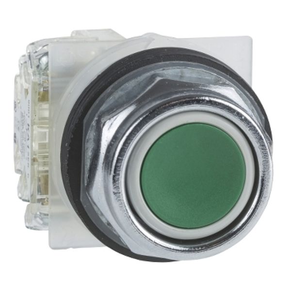 PUSHBUTTON 600VAC 10A 30MM TYPE K image 1