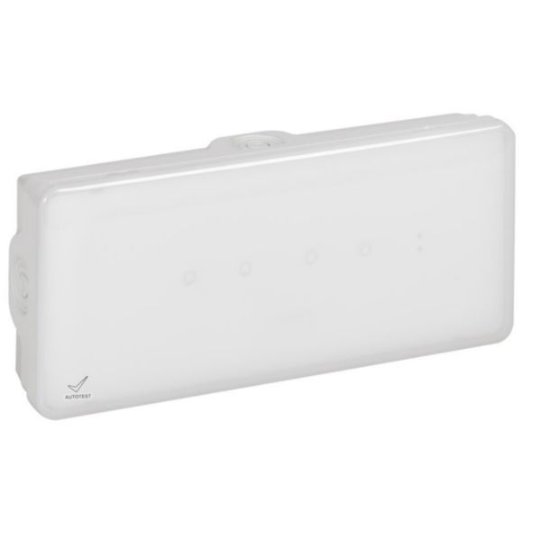 Emergency lighting luminaire B65LED Non Permanent 200lm 1h Autotest IP65 IK07 image 1