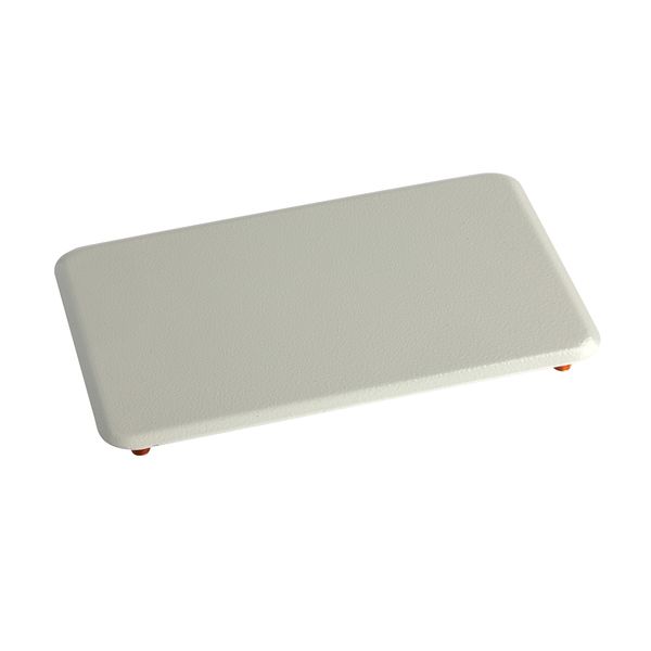 REMOVABLE PLATE W200MM image 1