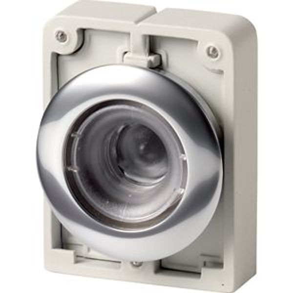 Illuminated pushbutton actuator, RMQ-Titan, Flat, momentary, Metal bezel image 1